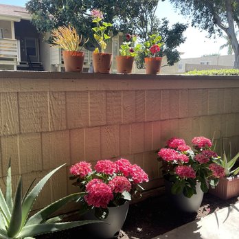 Alosta Place - Plants - Apartments Near Me - Azusa, California Alosta Place - Plants - Apartments Near Me - Azusa, California