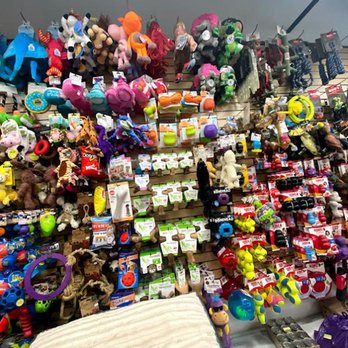 Pet Mama - Pet Stores Near Me - York, Ontario Pet Mama - Pet Stores Near Me - York, Ontario