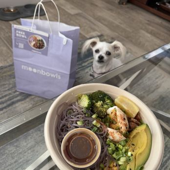 moonbowls - This is the chicken and broccoli with a special purple, sweet potato noodles, and the Jammy egg. I added avocado. - Gluten-Free Near Me - Brooklyn, New York moonbowls - This is the chicken and broccoli with a special purple, sweet potato noodles, and the Jammy egg. I added avocado. - Gluten-Free Near Me - Brooklyn, New York