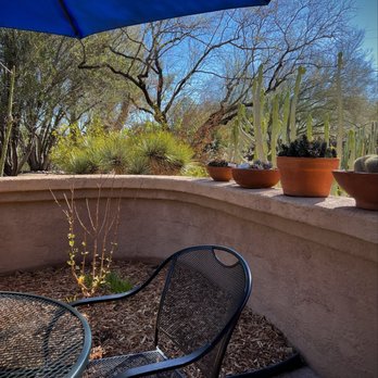 Edna's Eatery - Gorgeous setting and outdoor seating area. - Cafes Near Me - Tucson, Arizona