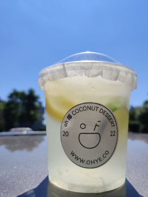 Oh Ye Coconut Desserts by null