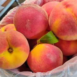 Vanzant Fruit Farms - More peaches!