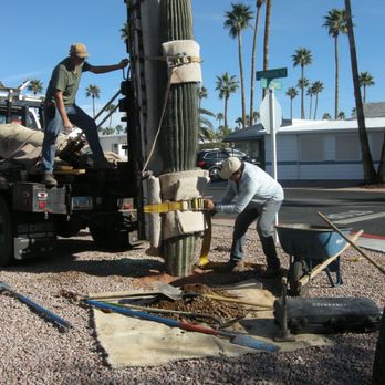 The Cactus Doctor - The area around the new placement was protected and restored. - Gardeners Near Me - Phoenix, Arizona