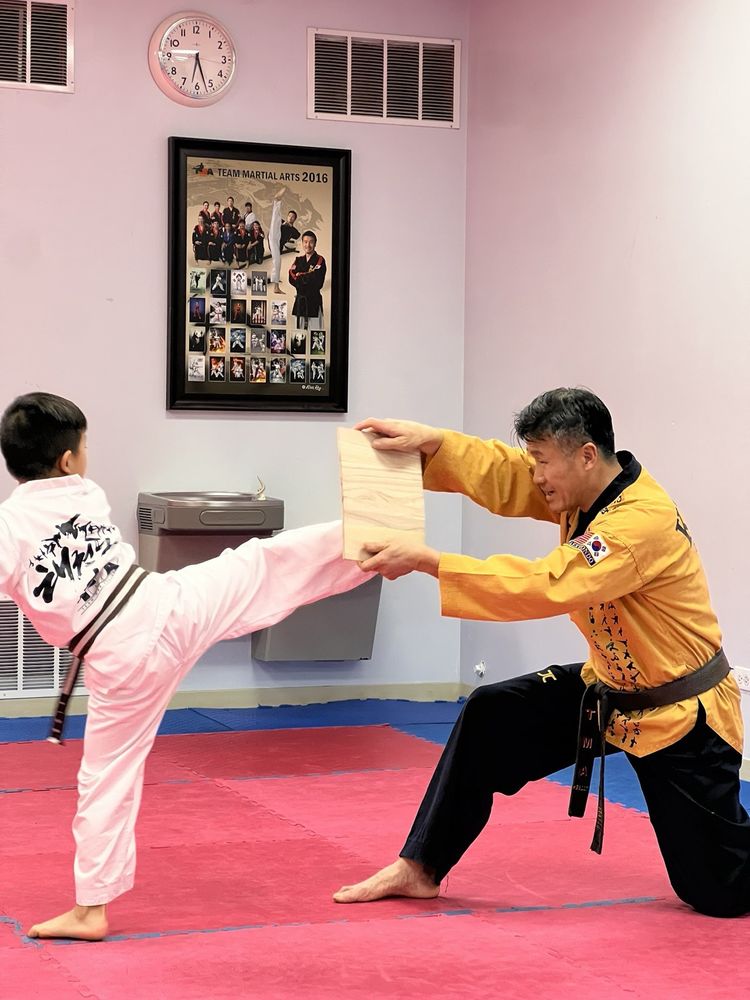 Skokie Team Martial Arts Logo