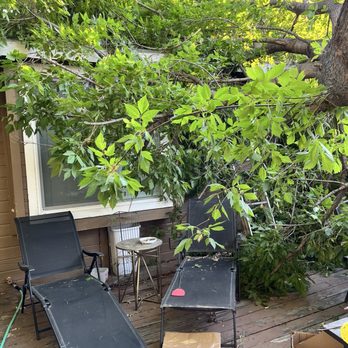 Parker Tree Service - Tree branch laying on lower deck, right by a bedroom - Tree Services Near Me - Caldwell, Idaho Parker Tree Service - Tree branch laying on lower deck, right by a bedroom - Tree Services Near Me - Caldwell, Idaho