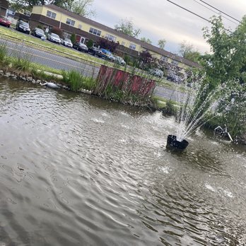 Mueller's Sugar Cone - Turtle pond - Ice Cream & Frozen Yogurt Near Me - Lindenwold, New Jersey