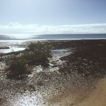 Cleveland Point Reserve - View of the flats - Parks Near Me - Cleveland, QLD