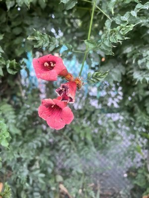 Pelham Bay Park by null