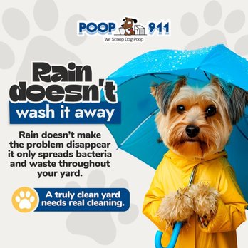 POOP 911 - Pet Waste Removal Near Me POOP 911 - Pet Waste Removal Near Me