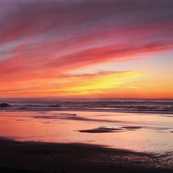 Starfish Vacation Rentals