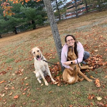 Home Away From Home - When you stop for photo shoots mid walk .... - Dog Walkers Near Me Home Away From Home - When you stop for photo shoots mid walk .... - Dog Walkers Near Me
