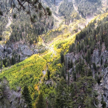 Cathedral Rock - The view before the last incline begins (taken 9/25/12) - Hiking Near Me - Mt Charleston, Nevada Cathedral Rock - The view before the last incline begins (taken 9/25/12) - Hiking Near Me - Mt Charleston, Nevada
