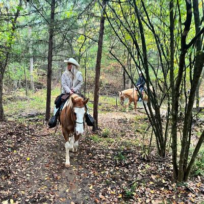 Widowmaker Trail Rides by null