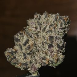 Islamorada Hemp