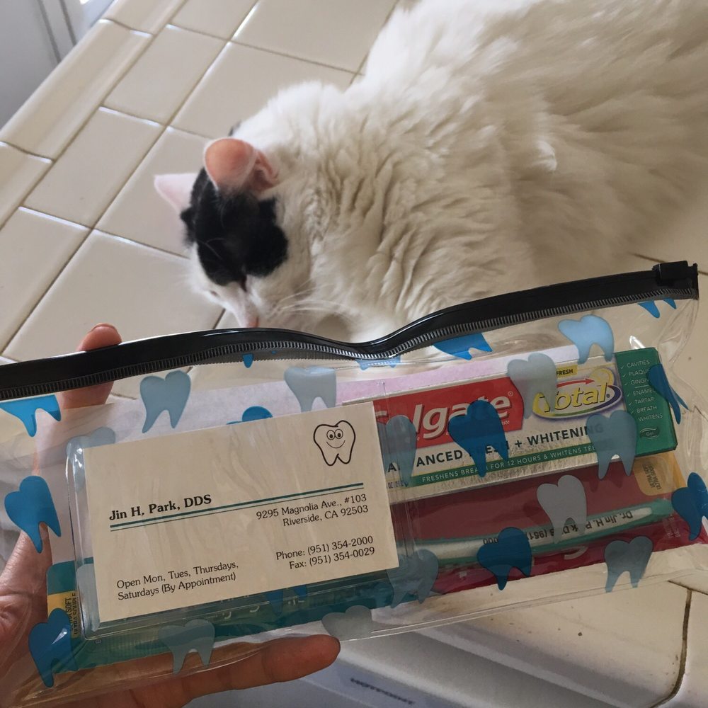 Look at this cute kit!! The pouch has me sold. Also my cute cat