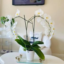 Relax Acupressure Spa