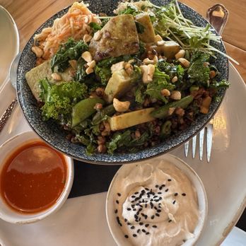 Whole Harvest Kitchen - Harvest Wok Bowl - Feb 2026 Flavors were booming!! - Vegan Near Me - Overland Park, Kansas Whole Harvest Kitchen - Harvest Wok Bowl - Feb 2026 Flavors were booming!! - Vegan Near Me - Overland Park, Kansas