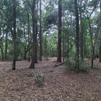 Liberty Park - Parks Near Me - Lake Mary, Florida
