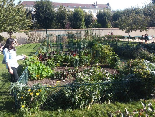 Jardin Catherine-Labouré by null