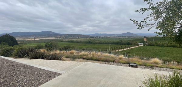 Kingston Family Vineyards by null