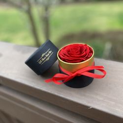The Wishes Come True - Eternal rose - real rose preserved to last over a year! No need to expose to sunlight, just keep it inside the box.
