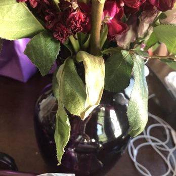 T Bears Florist & Chocolatier - Florists Near Me - Columbus, Ohio T Bears Florist & Chocolatier - Florists Near Me - Columbus, Ohio
