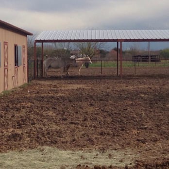 Fort Sam Houston Equestrian Center - Horseback Riding Near Me - San Antonio, Texas Fort Sam Houston Equestrian Center - Horseback Riding Near Me - San Antonio, Texas