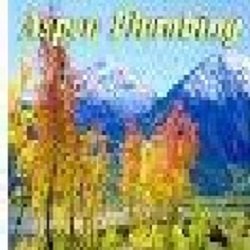 Aspen Plumbing