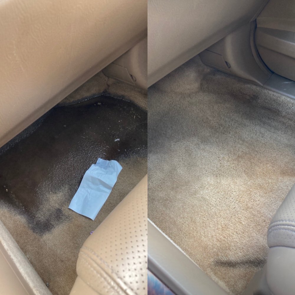 M&M CARPET AND UPHOLSTERY CLEANING Updated October 2024 22 Photos