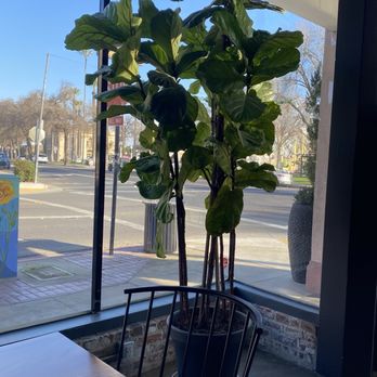 Acai Bar - Love the plant - Acai Bowls Near Me - Hanford, California