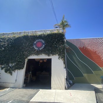 Mollusk Surf Shop - Entry - Surf Shop Near Me - Santa Barbara, California