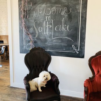 Downtown Doodle - Pet Groomers Near Me Downtown Doodle - Pet Groomers Near Me