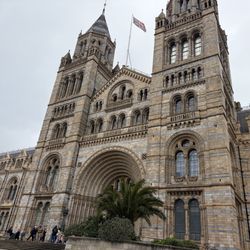 The Natural History Museum - Entry