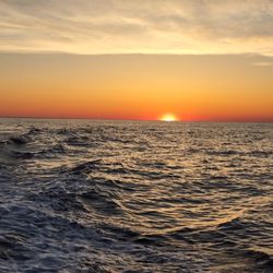Adventure Charters