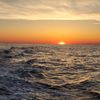 Adventure Charters gift card