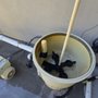 Island Pool Cleaning