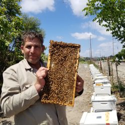 Best Bee Exterminator Near Me - December 2021 Find Nearby Bee Exterminator Reviews - Yelp Best Bee Exterminator Near Me - December 2021 Find Nearby Bee Exterminator Reviews - Yelp