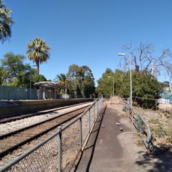 Millswood railway station - Station