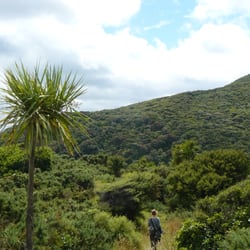 Waitakere Ranges - Whatipu, Waitakere Ranges