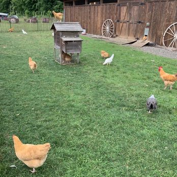 Arrowood Farm-Brewery - Breweries Near Me - Accord, New York Arrowood Farm-Brewery - Breweries Near Me - Accord, New York