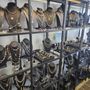 Photo of Spruce Goose Jewelry