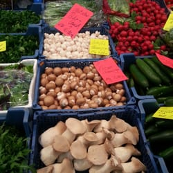 Rogge Obst Gemüse Kartoffeln