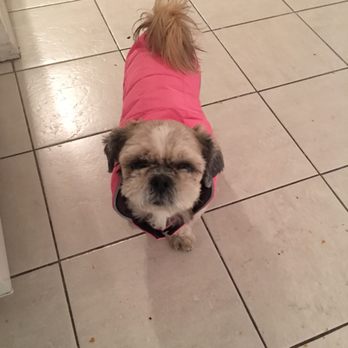 Pet Ark - Pet Stores Near Me - New York, New York