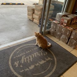 Strutty's Feed and Pet Supplies - Dudley the house cat welcomes folks into the store.