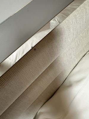 Hotel Indigo Williamsburg - Brooklyn by IHG by null