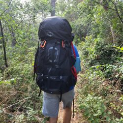 Middle Way Training