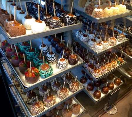 Rocky Mountain Chocolate by null