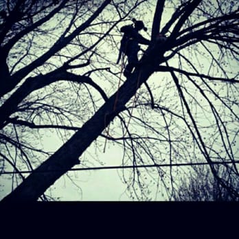 McGraw Tree Service - Tree Services Near Me - Windsor, Ontario McGraw Tree Service - Tree Services Near Me - Windsor, Ontario