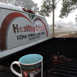 Healthy Lisa's