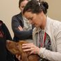 Photo of Hill Creek Veterinary Hospital